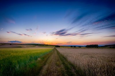 Lorem Ipsum 3